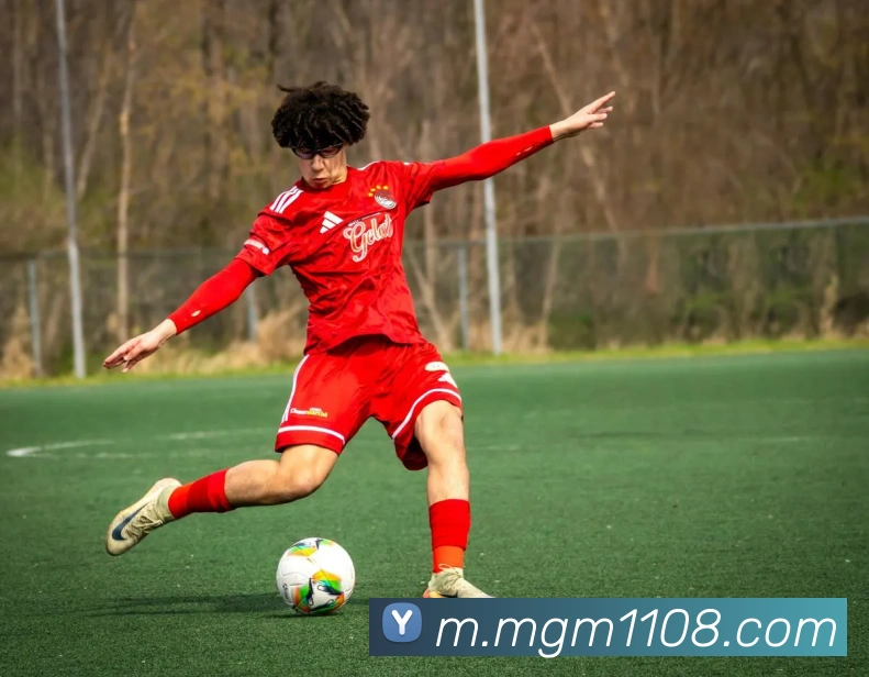 美高梅mgm服务体系